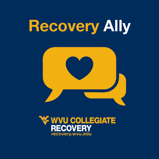 Recovery Ally Training