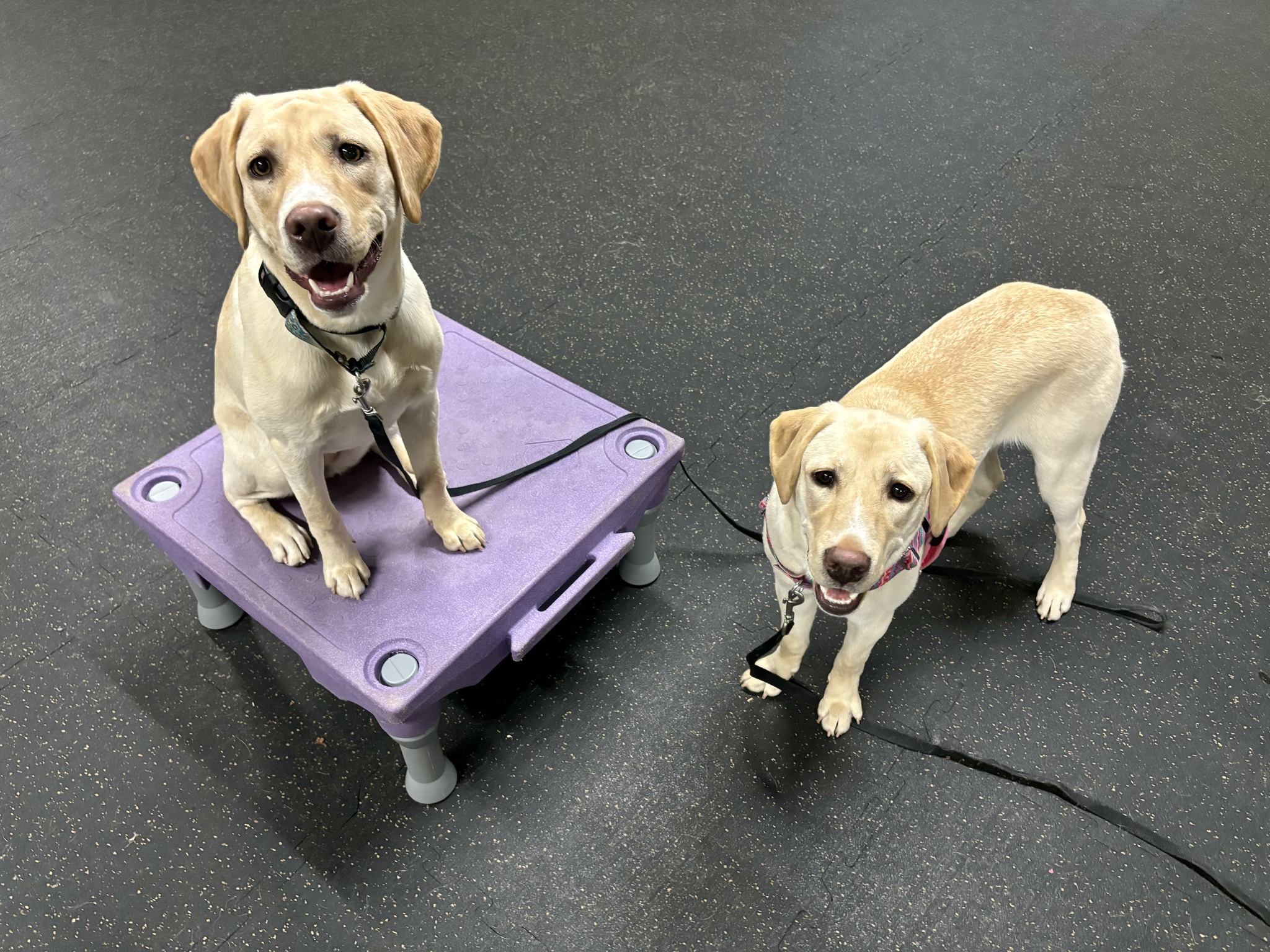 Winter Skills Tune Up with Hope Stewart