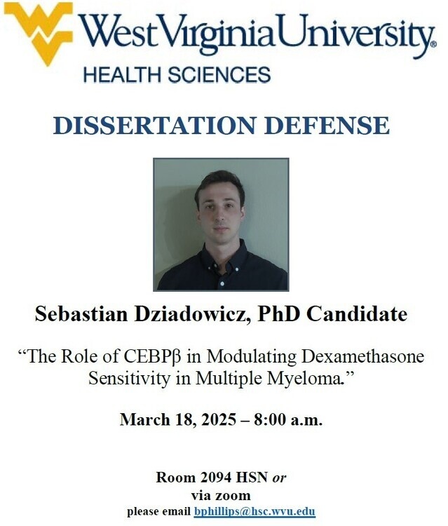 Dissertation Defense: Sebastian Dziadowicz