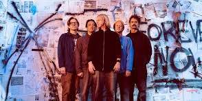 Switchfoot
