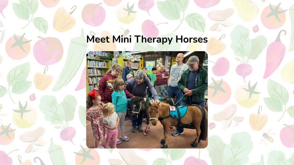 Meet Mini Therapy Horses