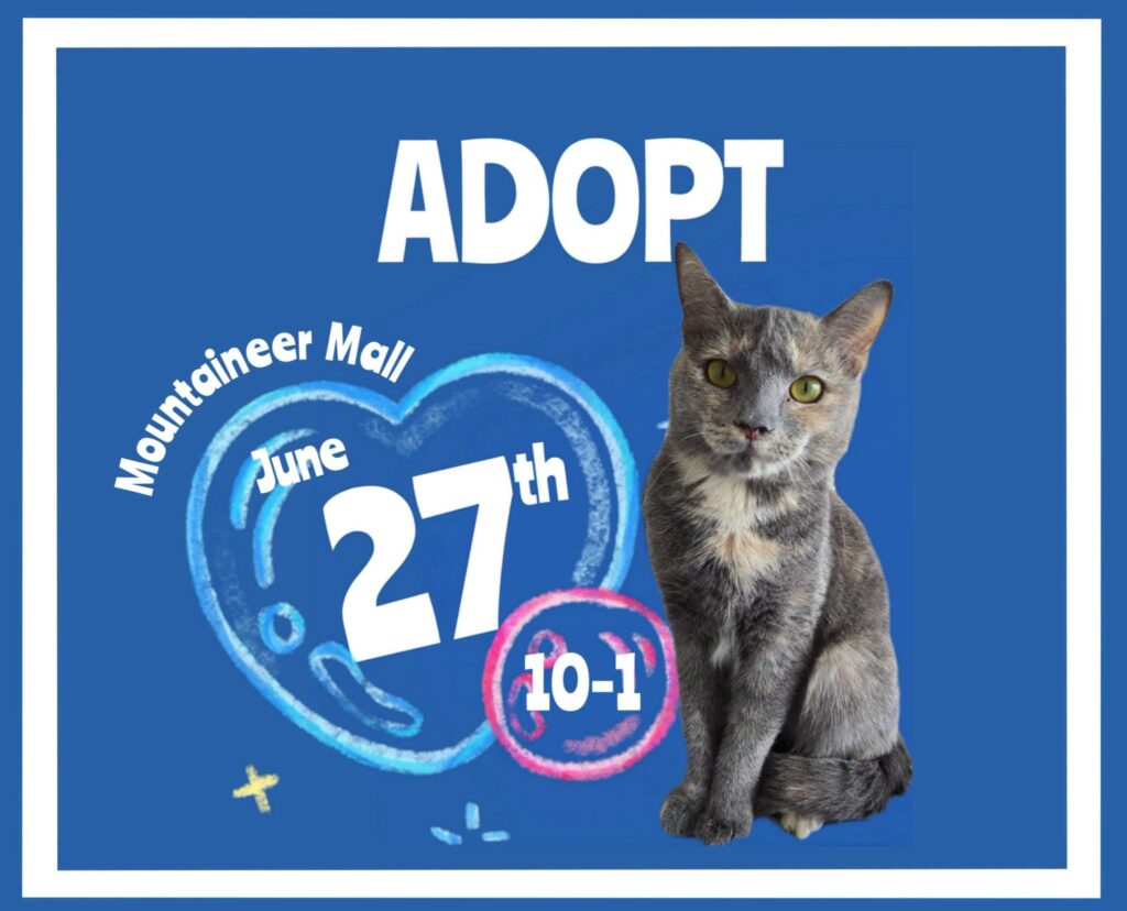 Adoption Event plus Craft Fair and Flea Market June 27 10-1 lower Mountaineer Mall