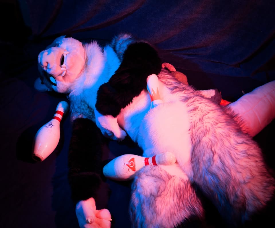 NCWV Furbowl Summer ‘26