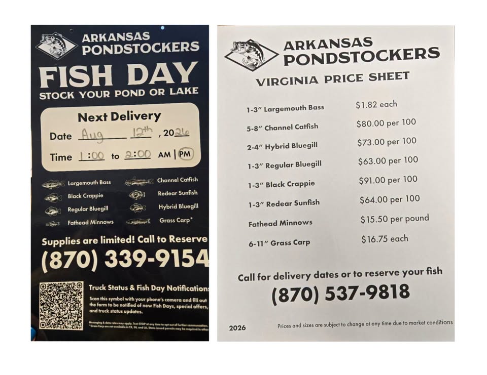 Fish Day!